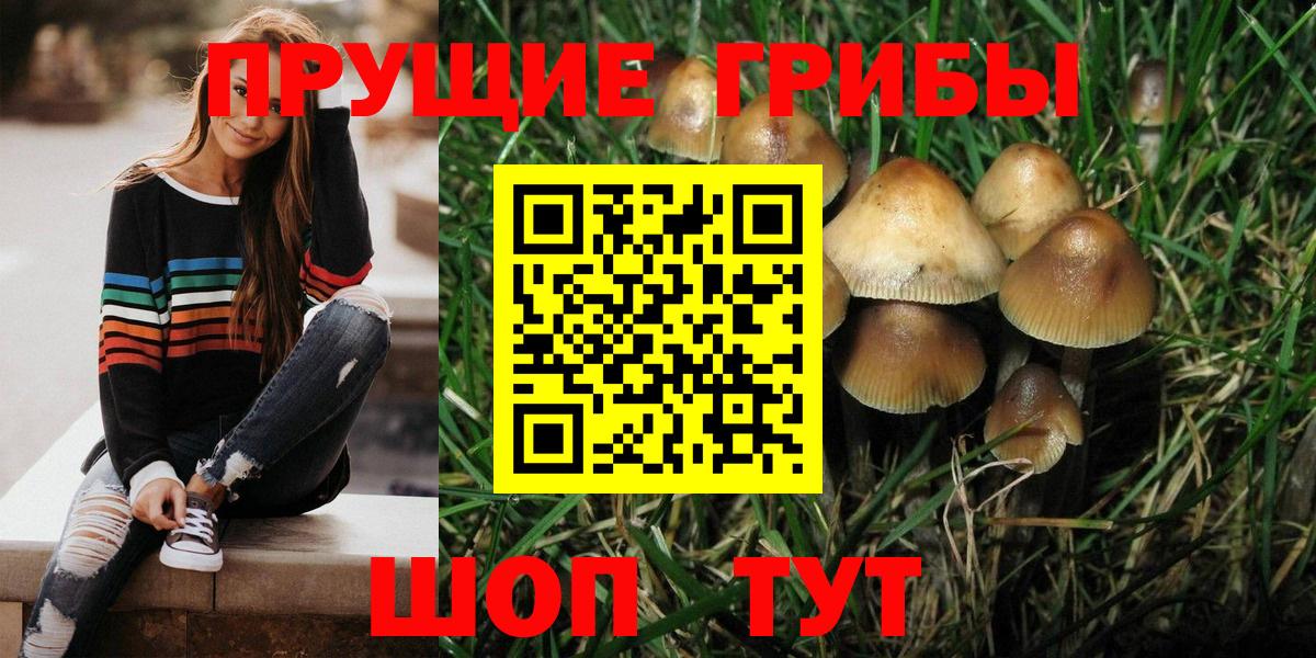 Нефтекамск  Галлюциногенные грибы ЛСД  Псилоцибиновые грибы мицелий  Вход с VPN 