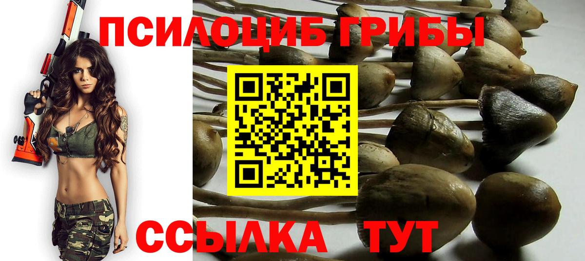 Псилоцибиновые грибы Magic Shrooms Нефтекамск
